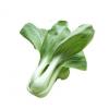 花王菜/250g