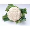 花菜/颗（3元/500g）