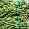 长豆角/500g