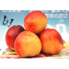 油桃/500g