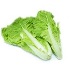 小白菜/500g
