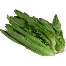 油麦菜/4kg