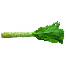 莴笋/10颗（4元/500g）