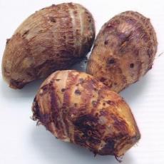 毛芋头/5kg