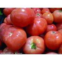 本地西红柿/5kg