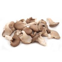 秀珍菇/4kg