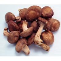 新鲜香菇/4kg