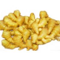 生姜/2kg
