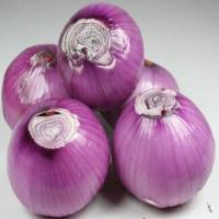 洋葱/5kg