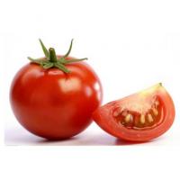 精品西红柿/5kg